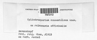Image Associated With the Occurence
